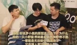 罗小黑爆料最新,探寻动画界的神秘力量